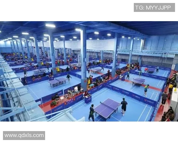 北京乒乓球队的精神风貌与竞技意识深度解析与探讨 北京乒乓球队的精神风貌与竞技意识深度解析与探讨